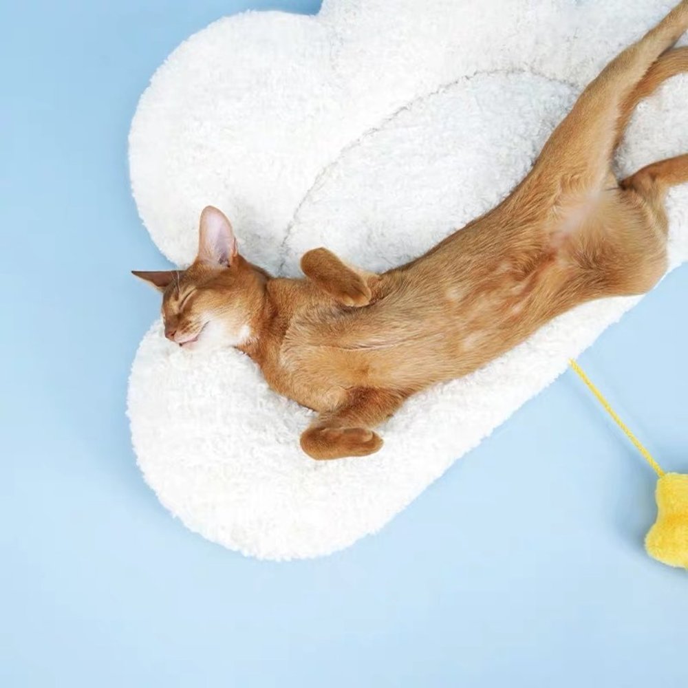 🎄Christmas gift for your cat - Warm Cloud and Star Cat Bed